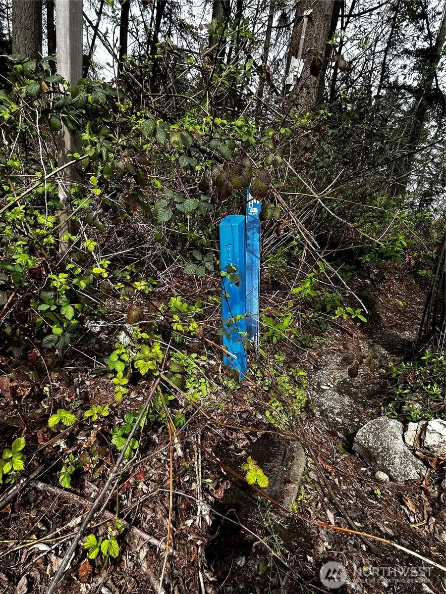 0 Adjacent To Baldwin Rd #23, Bothell, WA 98012 - Image #2