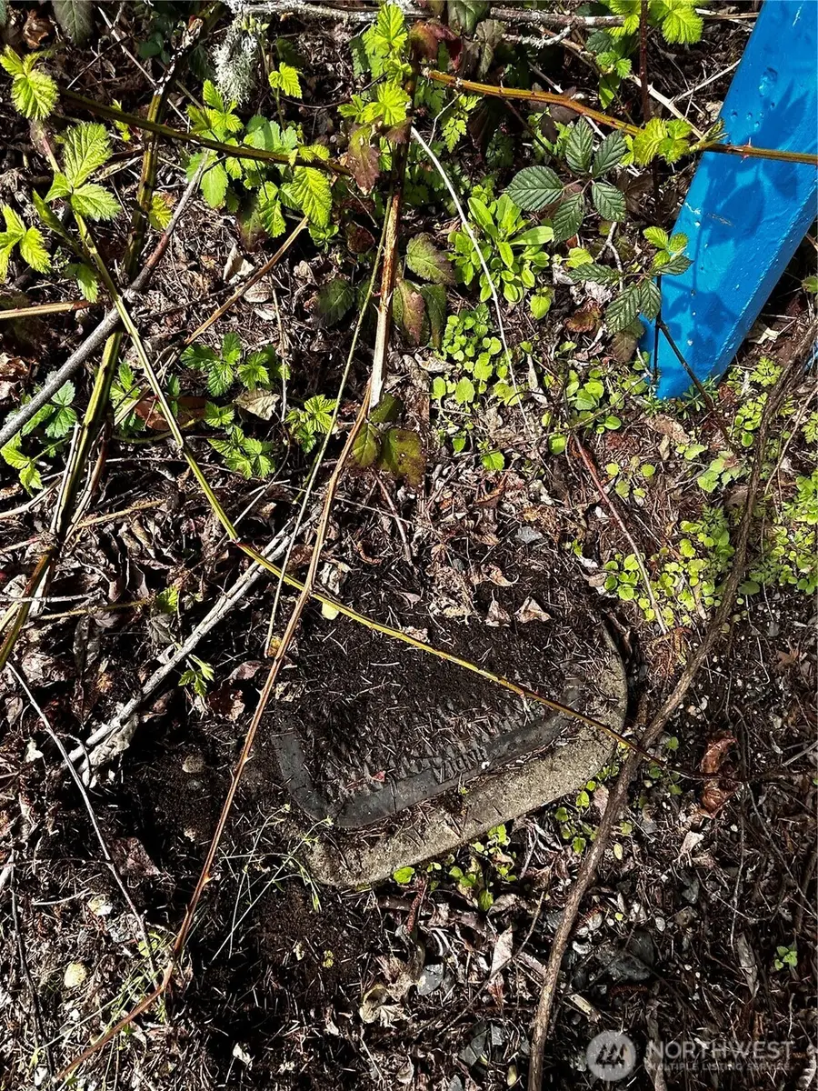 0 Adjacent To Baldwin Rd #23, Bothell, WA 98012 - Image #3