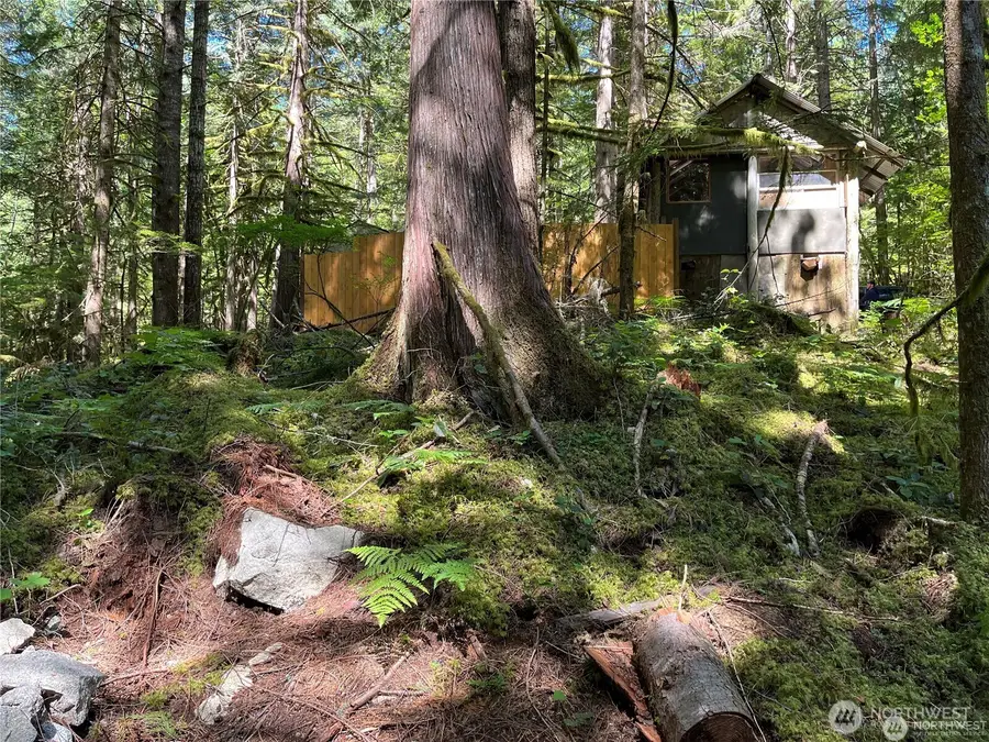 64308 Cascade River Road #1-147, Marblemount, WA 98267 - Image #2