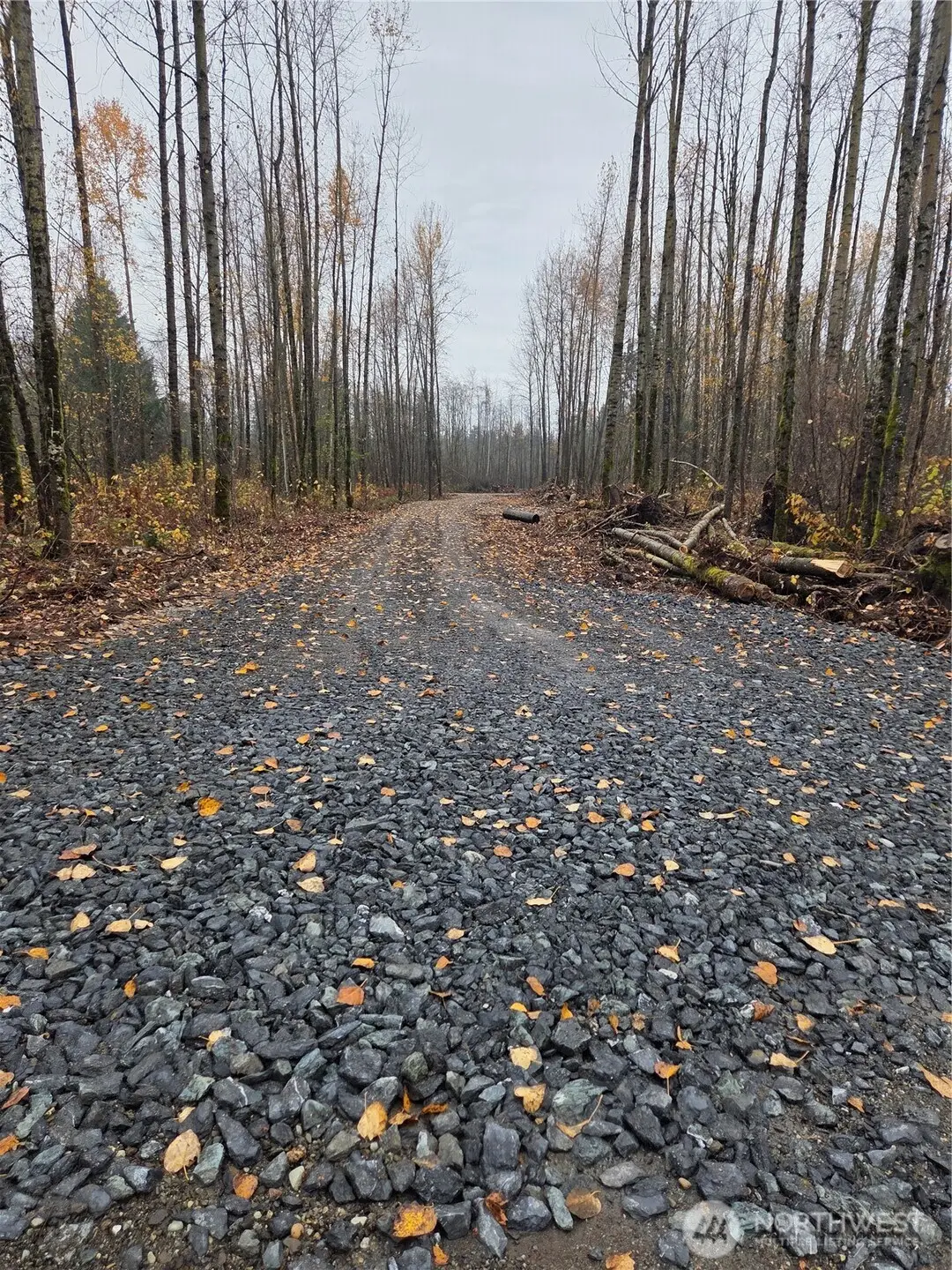 0 H Street, Blaine, WA 98230 - Image #1