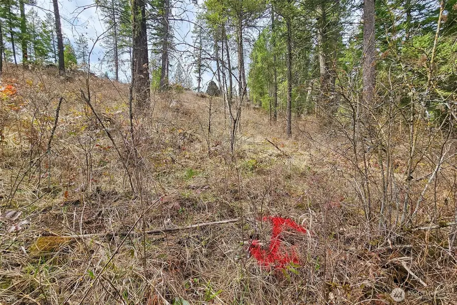 4700 E Deer Park Milan Road, Chattaroy, WA 99003 - Image #3