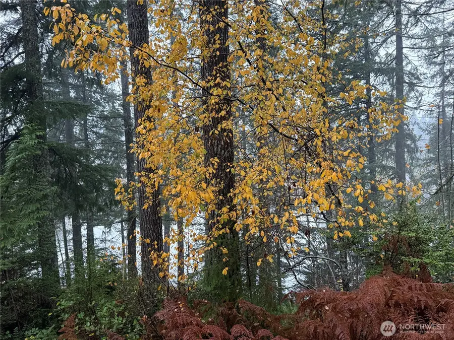 3780 S Mission Road W, Bremerton, WA 98312 - Image #3