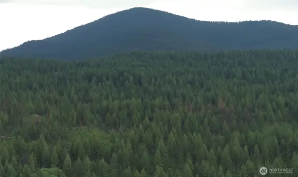 0 Mount Annie Road, Wauconda, WA 98855