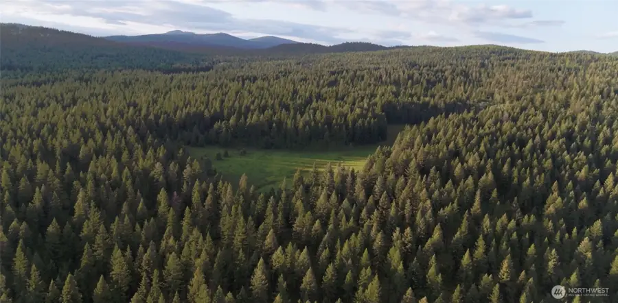 0 Mount Annie Road, Wauconda, WA 98855 - Image #3