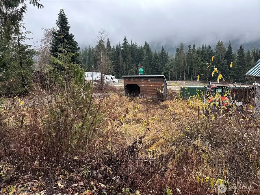 121 Kearny Drive, Snoqualmie Pass, WA 98068 - #3