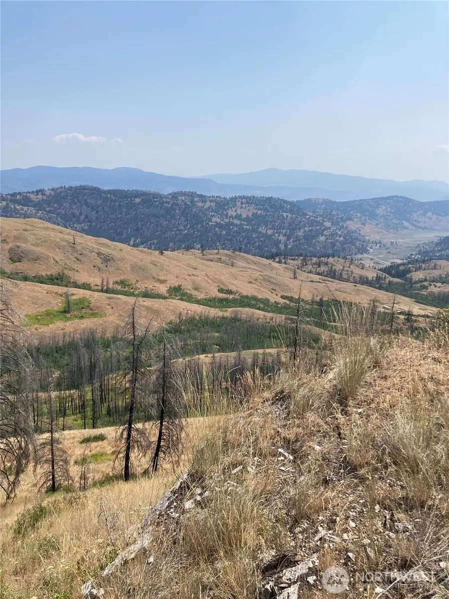 1111 Bottom Road, Tonasket, WA 98855 - Image #2