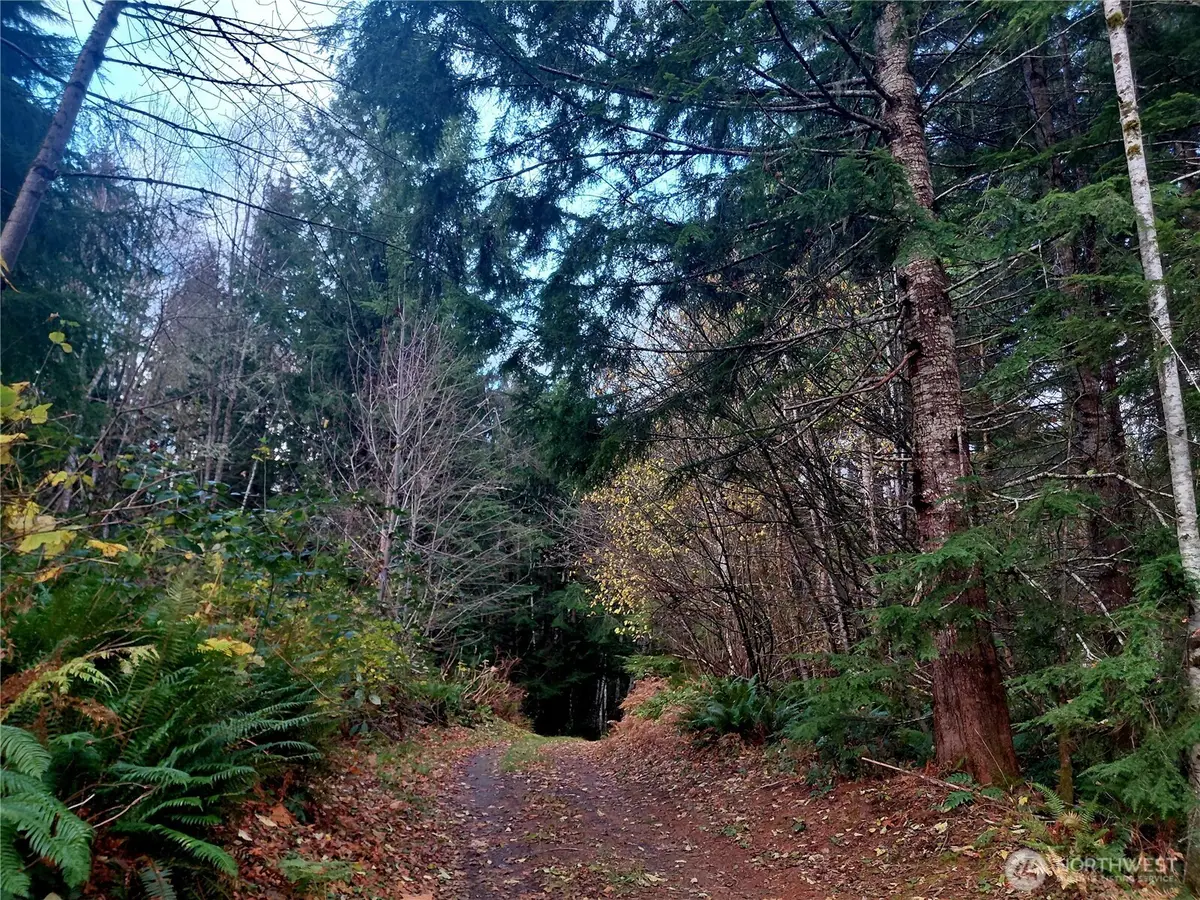 0 Old Barn Road #9, Randle, WA 98377 - Image #1