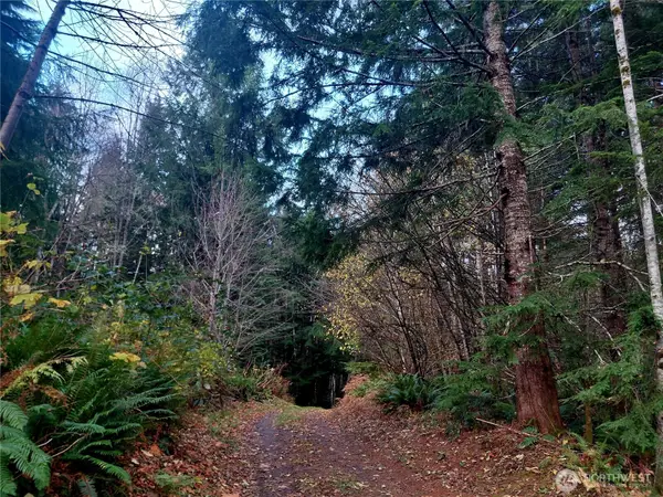 0 Old Barn Road #9, Randle, WA 98377