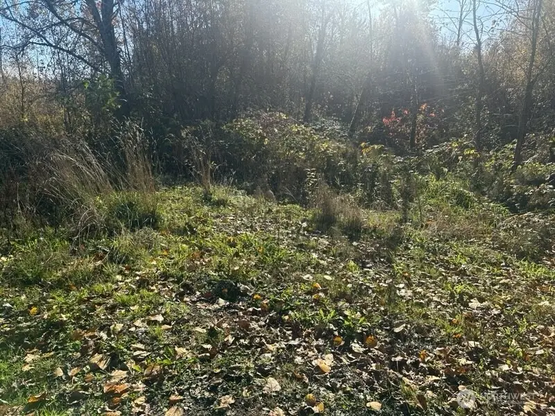 12217 SE Petrovitsky Road, Renton, WA 98058 - Image #3