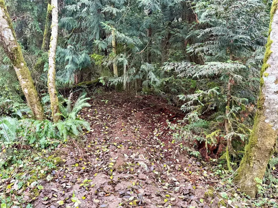 0 Sorrel Lane, Clinton, WA 98236 - Image #2