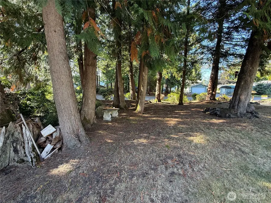 310 E Ballantrae Drive #85, Shelton, WA 98584 - Image #3