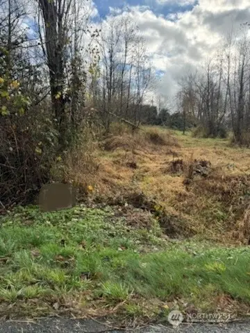 0 SE 416th Street, Enumclaw, WA 98022 - Image #3