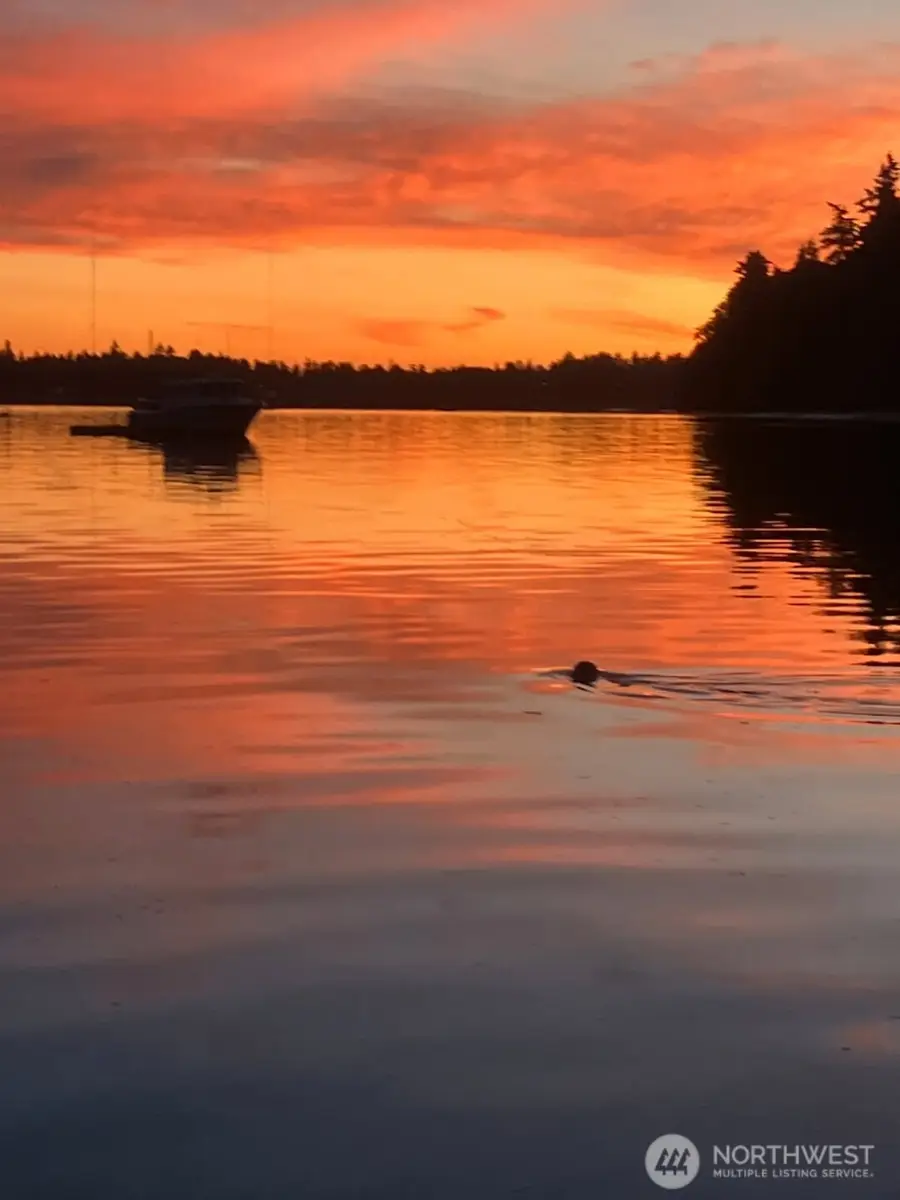 24410 Vashon Highway Sw, Vashon, WA 98070 - Image #2