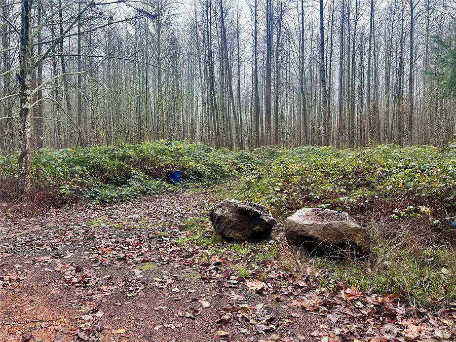 1230 Silverbrook Road, White Pass, WA 98937 - Image #2