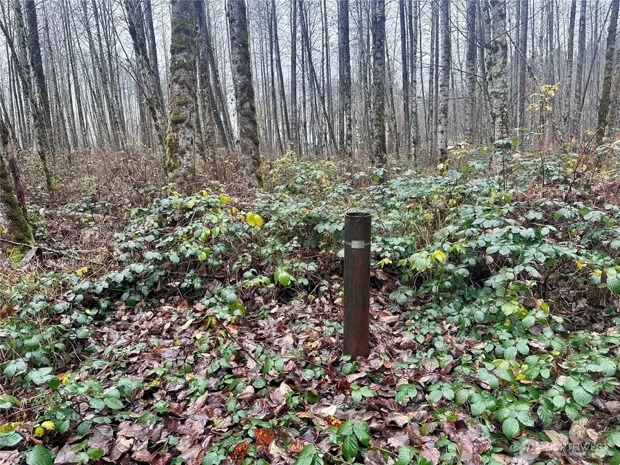 1230 Silverbrook Road, White Pass, WA 98937 - Image #3