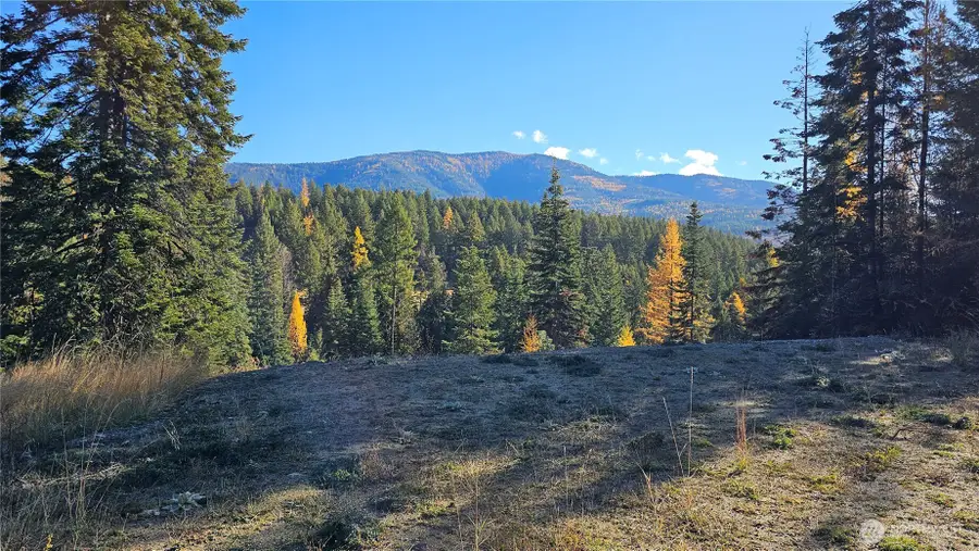 717 Finley Gulch Road, Colville, WA 99114 - #3