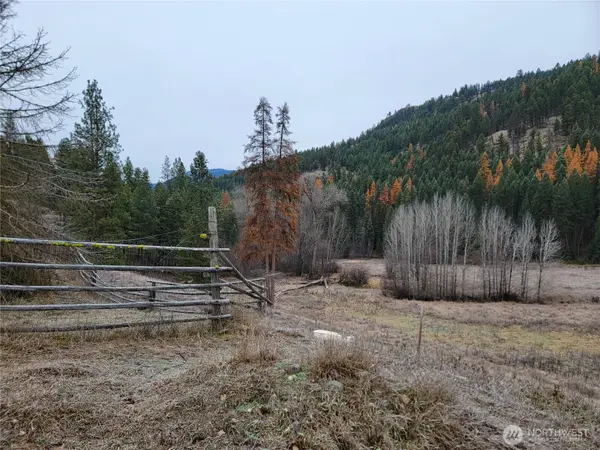 20 Haag Road, Wauconda, WA 98859