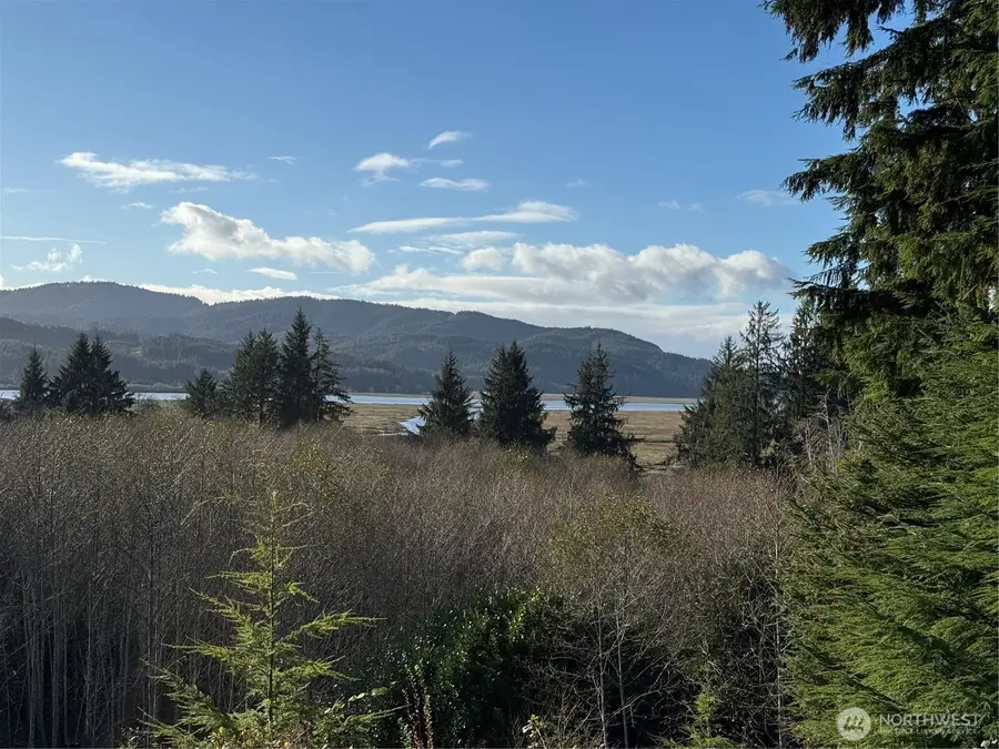 70 Dionne Lane, Naselle, WA 98638 - Image #2