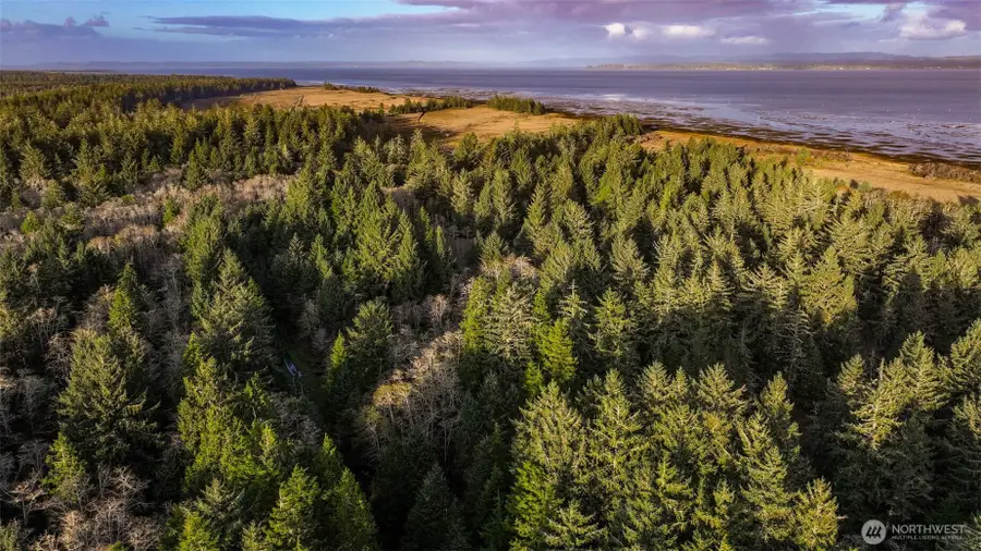 13 357th Lane, Ocean Park, WA 98640 - Image #3