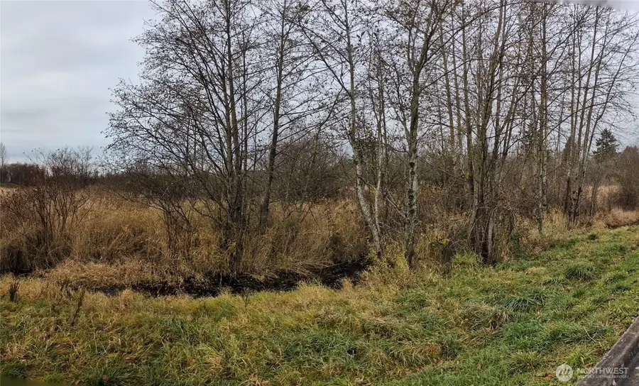 0 Second Avenue, Ferndale, WA 98248 - Image #2