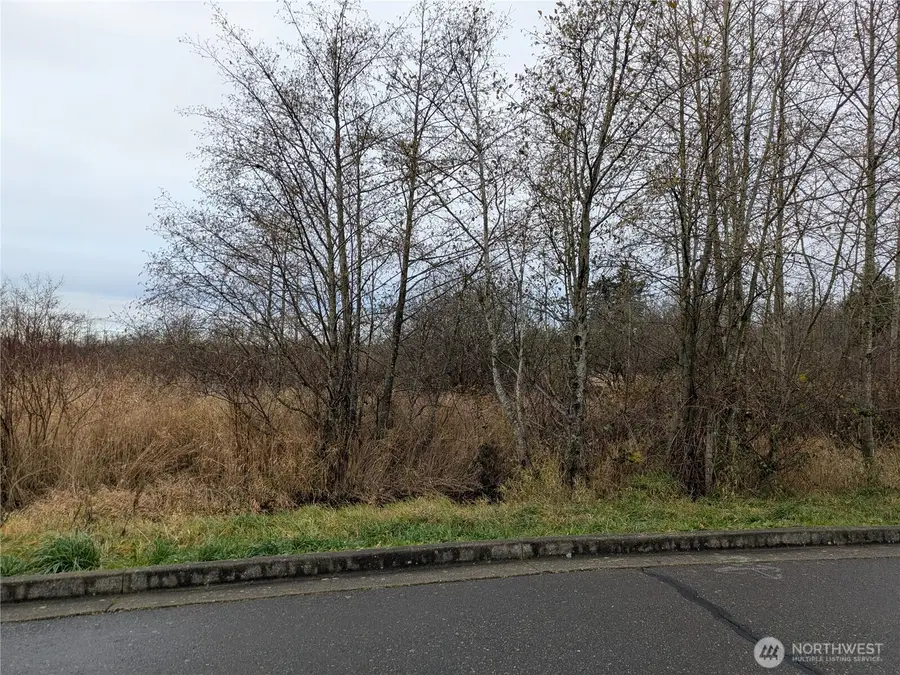 0 Second Avenue, Ferndale, WA 98248 - Image #3