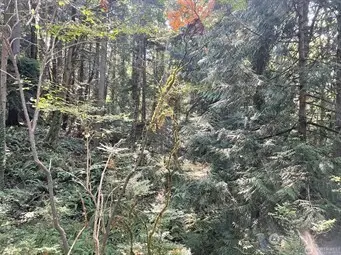 0 Melcher Street #1-20, Port Orchard, WA 98366 - Image #2