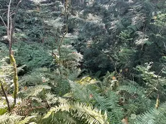 0 Melcher Street #1-20, Port Orchard, WA 98366 - Image #3