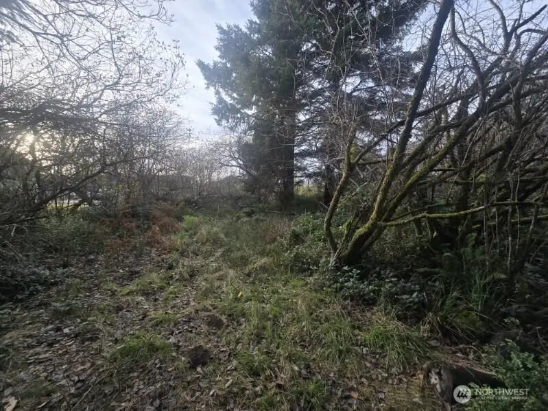 570 NE Puffin Avenue, Ocean Shores, WA 98569 - Image #2