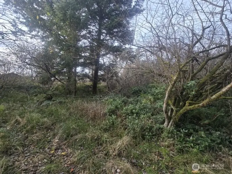 570 NE Puffin Avenue, Ocean Shores, WA 98569 - Image #3