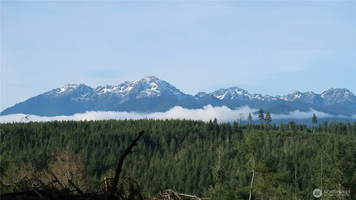 2180 NE Holly Dewatto Rd, Tahuya, WA 98588 - Image #1