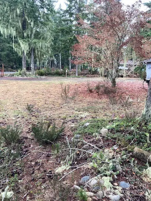 220 N Duckabush Drive N, Hoodsport, WA 98548 - #3