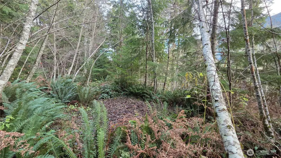 0 Kautz Place, Ashford, WA 98304 - Image #2
