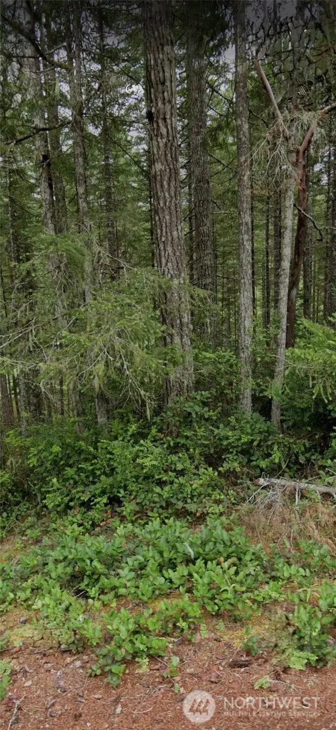 1221 NE Collins Lake Drive, Tahuya, WA 98588 - Image #1