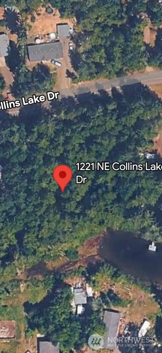1221 NE Collins Lake Drive, Tahuya, WA 98588 - Image #2