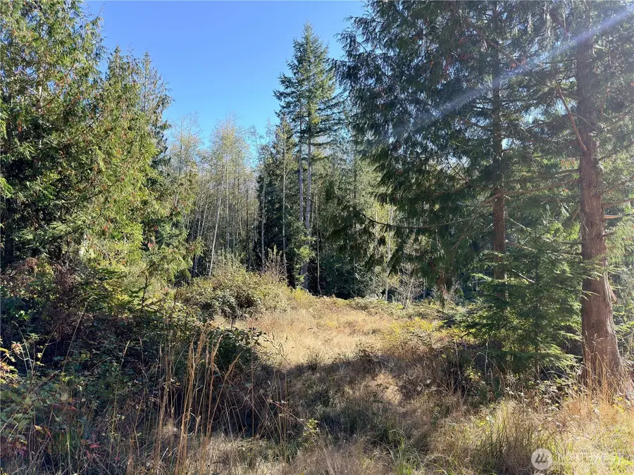 1 Lee Valley Road, Quilcene, WA 98376 - Image #2