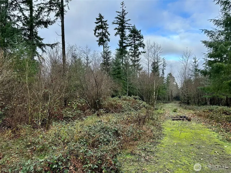 0 Studebaker Spur 2 Road, Castle Rock, WA 98611 - Image #3