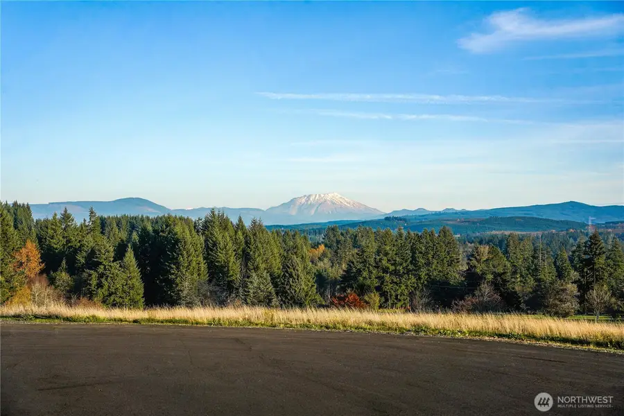 161 Cooper Hill Court #1, Castle Rock, WA 98611 - Image #3