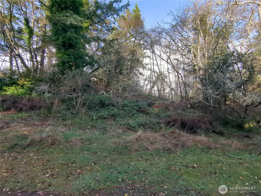 0 247th #Lots 9-12, Ocean Park, WA 98640 - Image #3