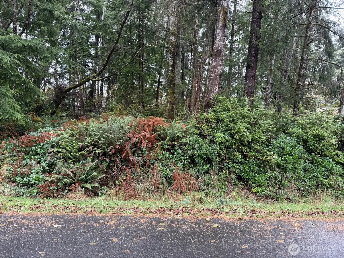 664 Chenois Avenue Ne #179, Ocean Shores, WA 98569 - Image #1