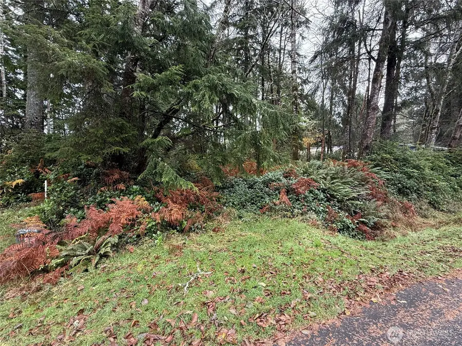 664 Chenois Avenue Ne #179, Ocean Shores, WA 98569 - Image #2