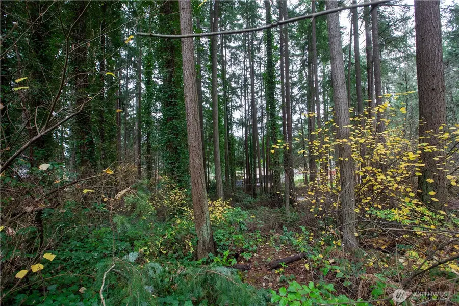 6943 20th Avenue E, Lacey, WA 98503 - Image #3