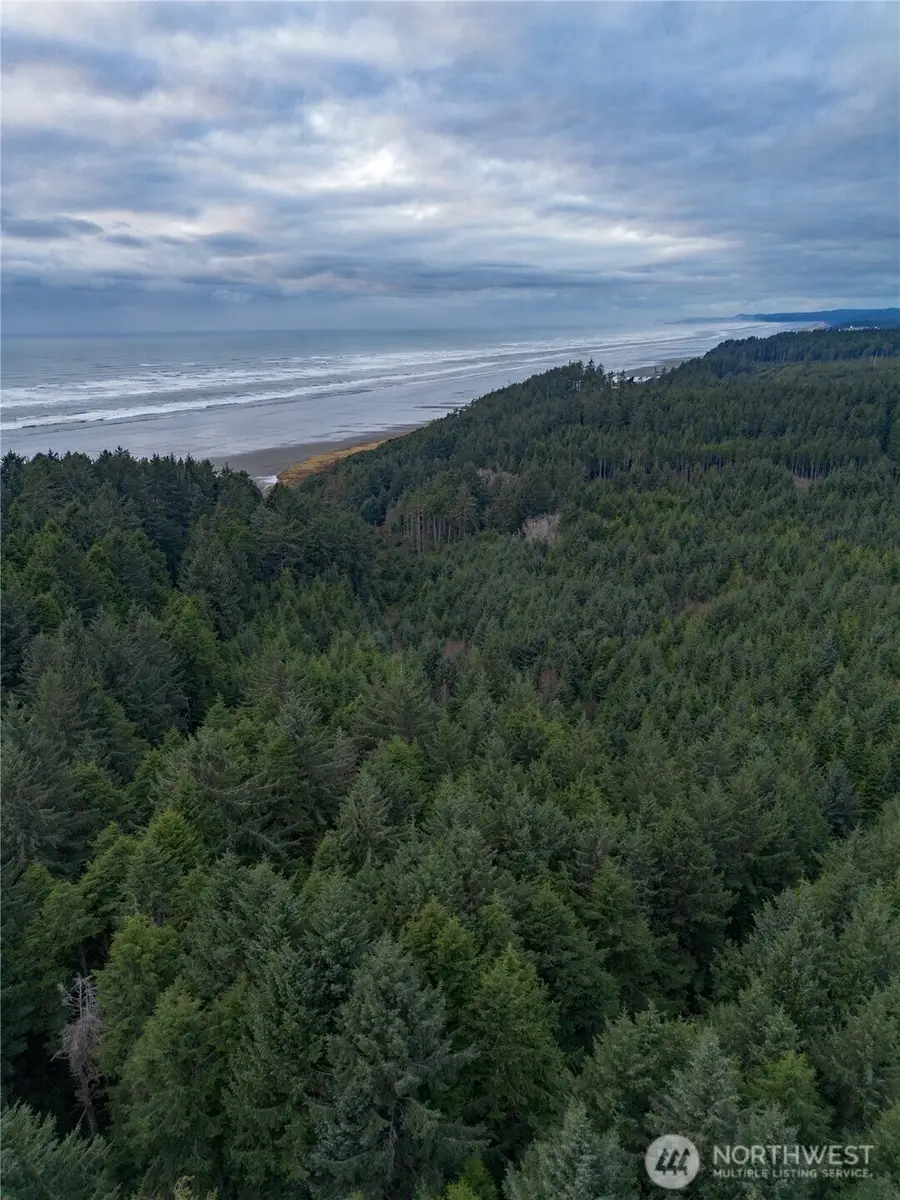 0 Roosevelt Beach #Lots 1-12, 1-9, 13-17, 18, 19, Pacific Beach, WA 98571 - Image #3
