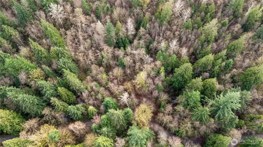 2031 Camber Lane #2, Blaine, WA 98230 - Image #2