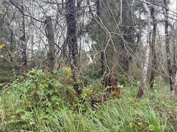 294 S Lane #1 and 2, Ocean Park, WA 98640