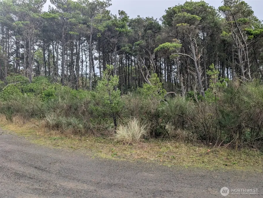 5 Gold Street #Lot 5, Westport, WA 98595 - Image #2