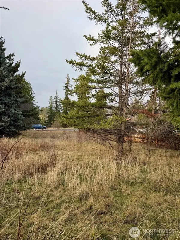 0 Morrison Canyon Lane #24, Cle Elum, WA 98922