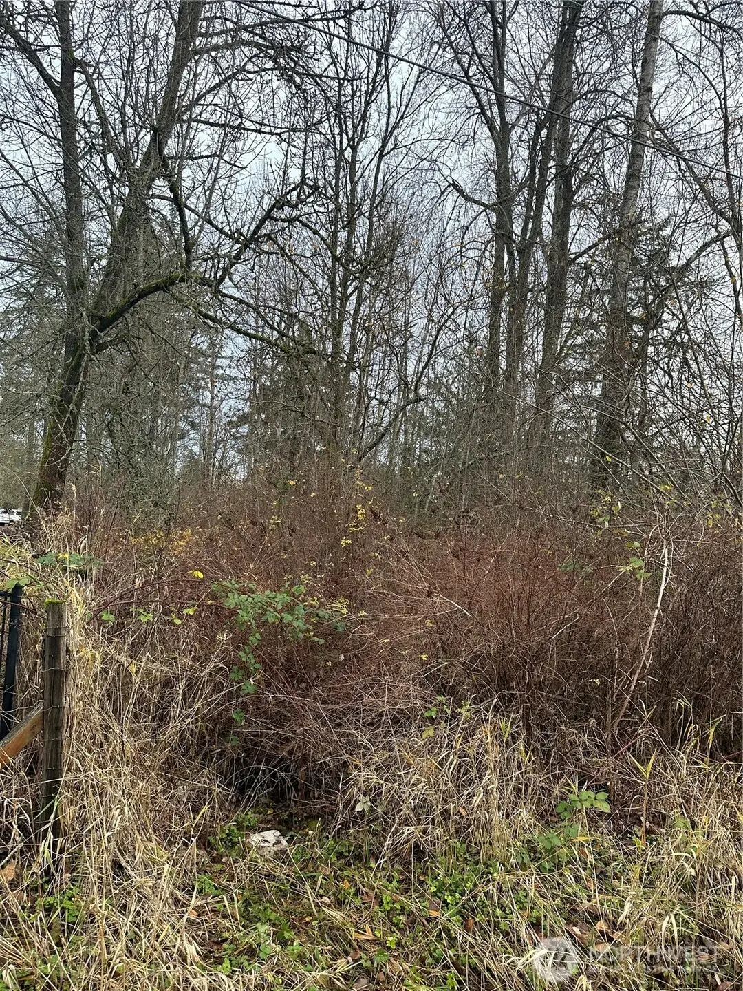 12309 40th Avenue E, Tacoma, WA 98446 - Image #1