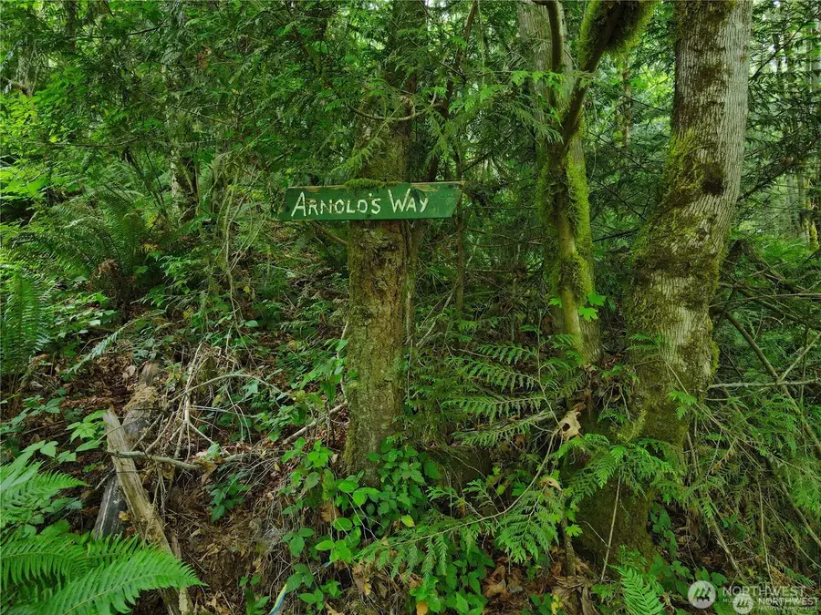 101 N Arnolds Way, Hoodsport, WA 98548 - #3