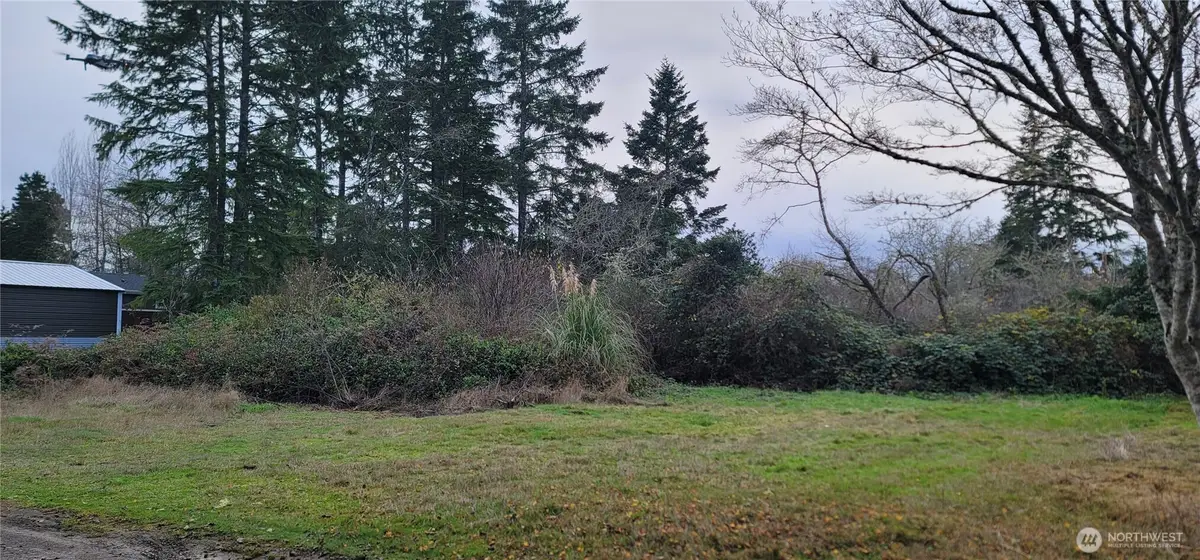 0 Y Ln #9 & 10, Ocean Park, WA 98640 - Image #1