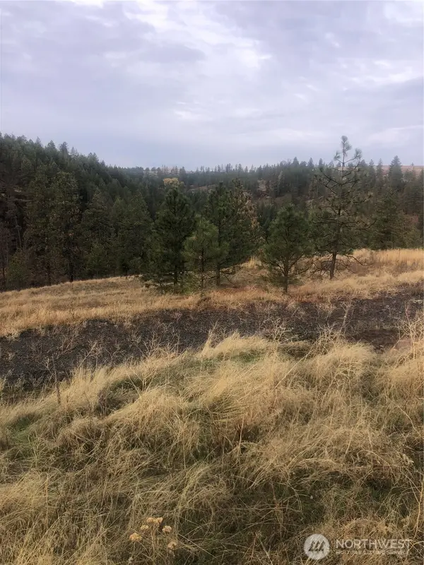 30991 Pine Hen Lane E, Davenport, WA 99122